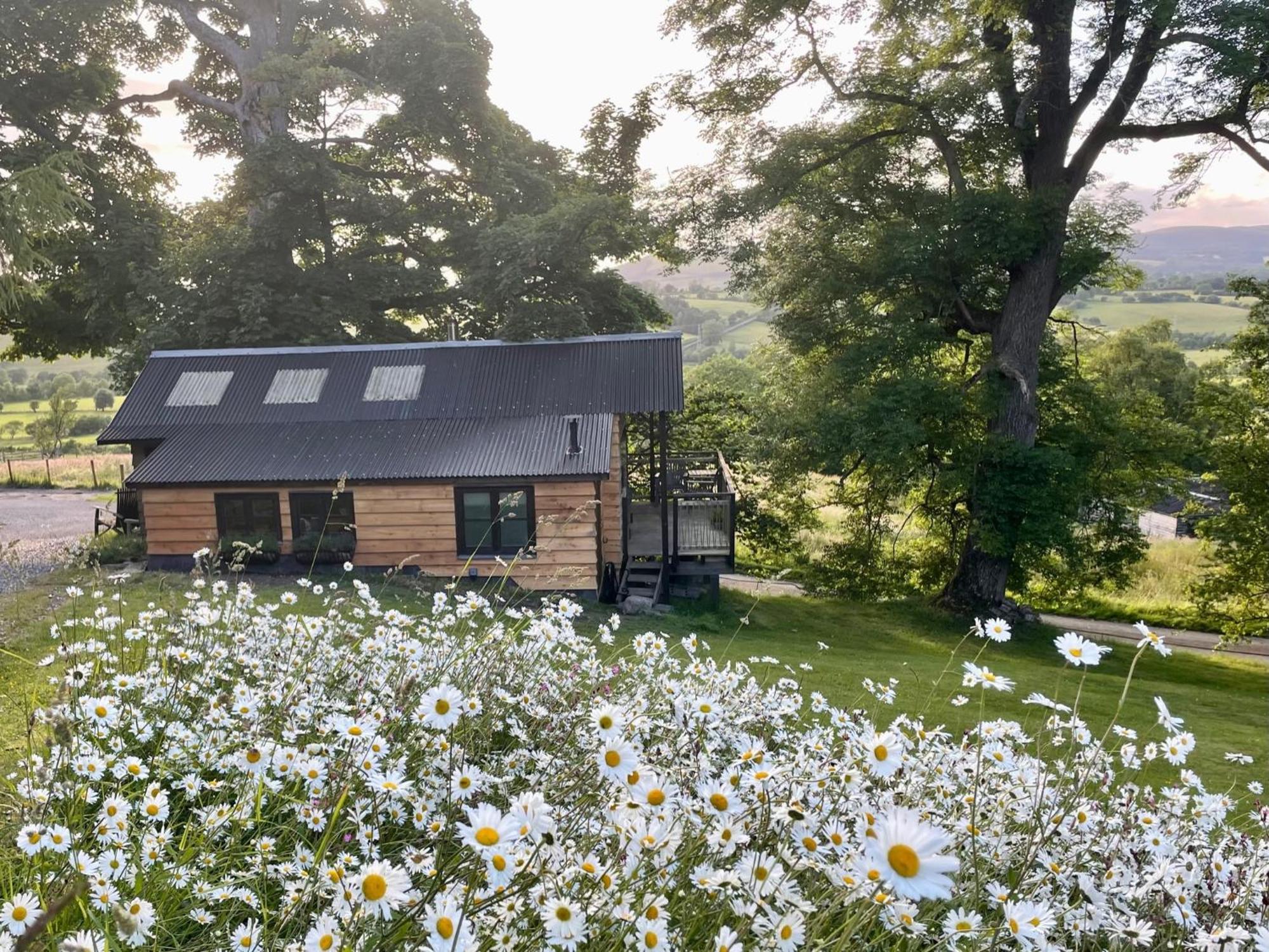 Villa Faraway Follies à Llandegla Extérieur photo